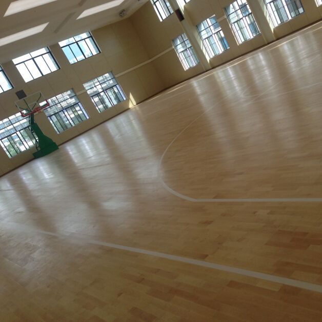 桐廬籃球館木91香蕉视频污版